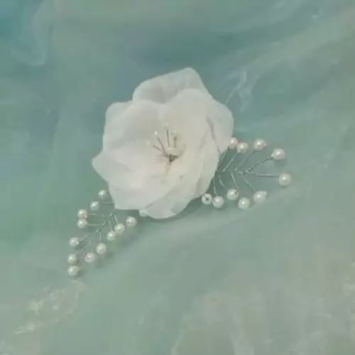 رسیه مو 2